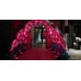 VIP Entrance Tunnel Balloon Arch